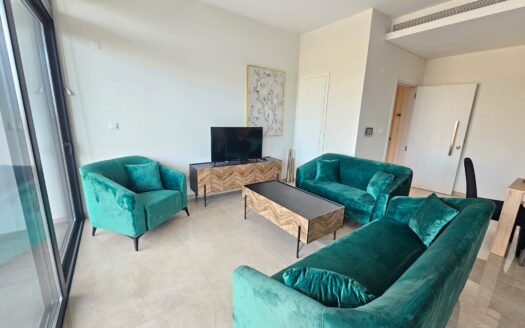 RENTED Brand New Three Bedroom Apartment At Universal